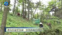 农村大市场(2025-05-14)