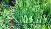 中国农资秀(2025-05-14)