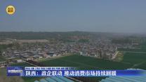 【在习近平新时代中国特色社会主义思想指引下】陕西：政企联动 推动消费市场持续回暖