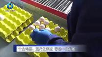 农村大市场 (2025-05-18)