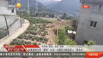 都市热线 (2025-05-20)