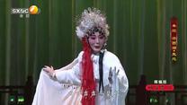 国风秦韵精编版(2025-05-20)
