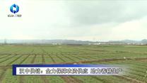 农村大市场(2025-05-21)