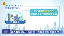 陕西数据知识产权试点工作获评全国优秀等次