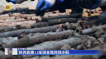 陕西新增13家国家级科技小院