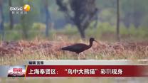 晚间新闻站 (2025-05-25)