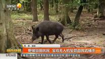 都市快报(2025-05-26)
