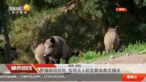都市热线 (2025-05-28)