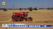 【“三夏”进行时】我省小麦机收陆续展开 数智农机护航“三夏”