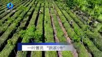 农村大市场(2025-06-02)