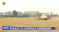 陕西准备40亿元信贷资金全力保障夏粮收购