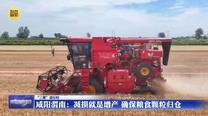 【“三夏”进行时】咸阳渭南：减损就是增产 确保粮食颗粒归仓