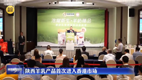 陕西羊乳产品首次进入香港市场