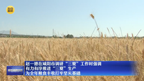 【在习近平新时代中国特色社会主义思想指引下】赵一德在咸阳市调研“三夏”工作时强调 有力有序推进“三夏”生产 为全年粮食丰收打牢坚实基础