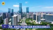陕西：加强知识产权创造与运用 激发民营企业创新活力