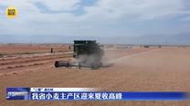 【“三夏”进行时】我省小麦主产区迎来夏收高峰