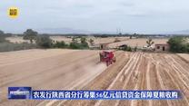 农发行陕西省分行筹集56亿元信贷资金保障夏粮收购