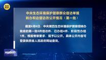 中央生态环境保护督察群众信访举报转办和边督边改公开情况（第一批）