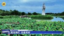 【大美陕西新画卷】夏花绚烂 诗意美好