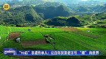 “90后”非遗传承人：让百年茯茶老字号 “潮” 向世界