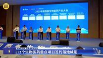 12个生物医药重点项目签约落地咸阳