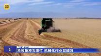 【“三夏”进行时】抢收抢种农事忙 机械化作业显成效