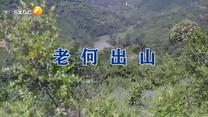 百家碎戏 (2025-06-10)