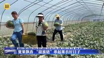 夏果飘香 “甜蜜链”串起果农好日子