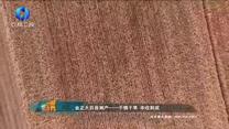 中国农资秀(2025-06-10)