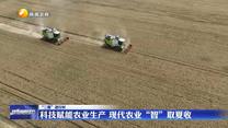 【“三夏”进行时】科技赋能农业生产 现代农业“智”取夏收