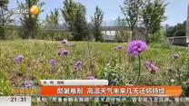 都市快报(2025-06-12)
