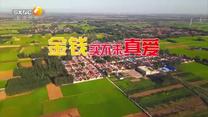 百家碎戏 (2025-06-14)