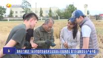 【在习近平新时代中国特色社会主义思想指引下】陕西全力推进上海合作组织农业技术交流培训示范基地建设 助力区域粮食安全产业升级