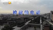 百家碎戲 (2025-06-15)