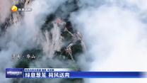 【大美陕西新画卷】绿意葱茏 荷风送爽