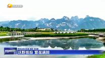 【大美陜西新畫卷】 沃野繽紛 繁花滿田