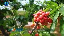 中國農資秀(2025-06-16)