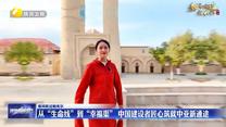【秦風吹過帕米爾】從“生命線”到“幸福渠”  中國建設者匠心筑就中亞新通途