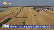 陜西10部門聯合下發通知多措并舉做好糧食收購工作