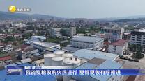 【“三夏”進行時】我省夏糧收購火熱進行 夏管夏收有序推進
