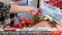 都市熱線 (2025-06-19)