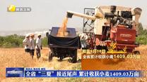 全省“三夏”接近尾聲  累計收獲小麥1409.03萬畝