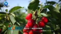 中國農資秀(2025-06-19)