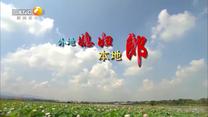 百家碎戲 (2025-06-21)