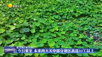 6月21日夏至 未來兩天關中部分地區高溫35℃以上