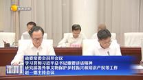 【在習近平新時代中國特色社會主義思想指引下】省委常委會召開會議 學習貫徹習近平總書記重要講話精神 研究部署外事文物保護鄉村振興和知識產權等工作 趙一德主持會議