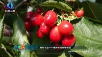 中國農資秀(2025-06-22)