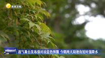 省氣象臺發布強對流藍色預警 6月22日、23日局地有短時強降水
