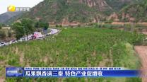 瓜果飄香滿三秦 特色產業促增收