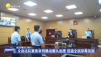 全省法院聚焦審判推動(dòng)源頭治理 營(yíng)造全民禁毒氛圍